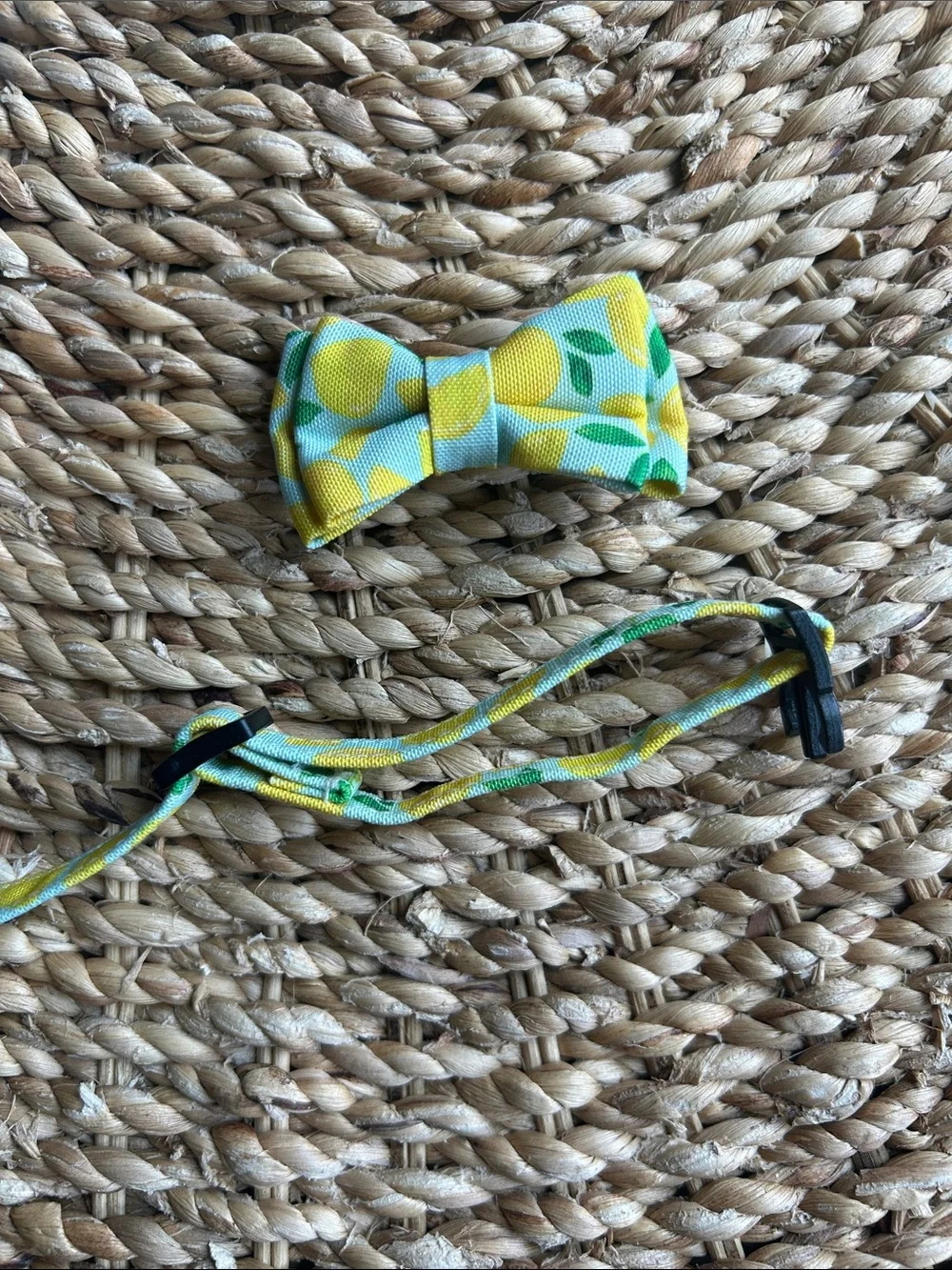 Cat Collar with bow.